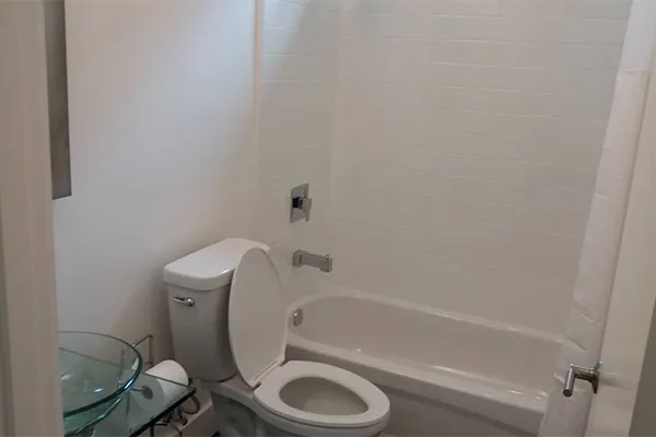 Bathroom Cleaning