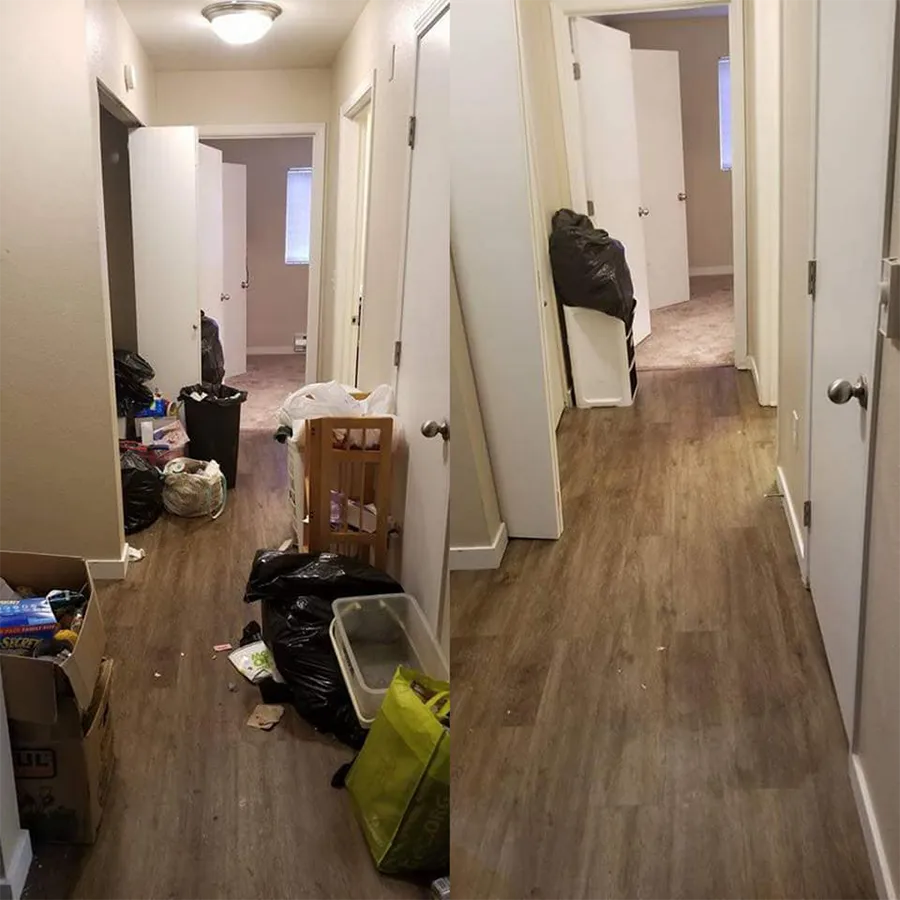 Expert Professional Cleaning Services