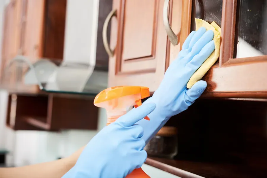 Premium Kitchen Cleaning Bothell, WA